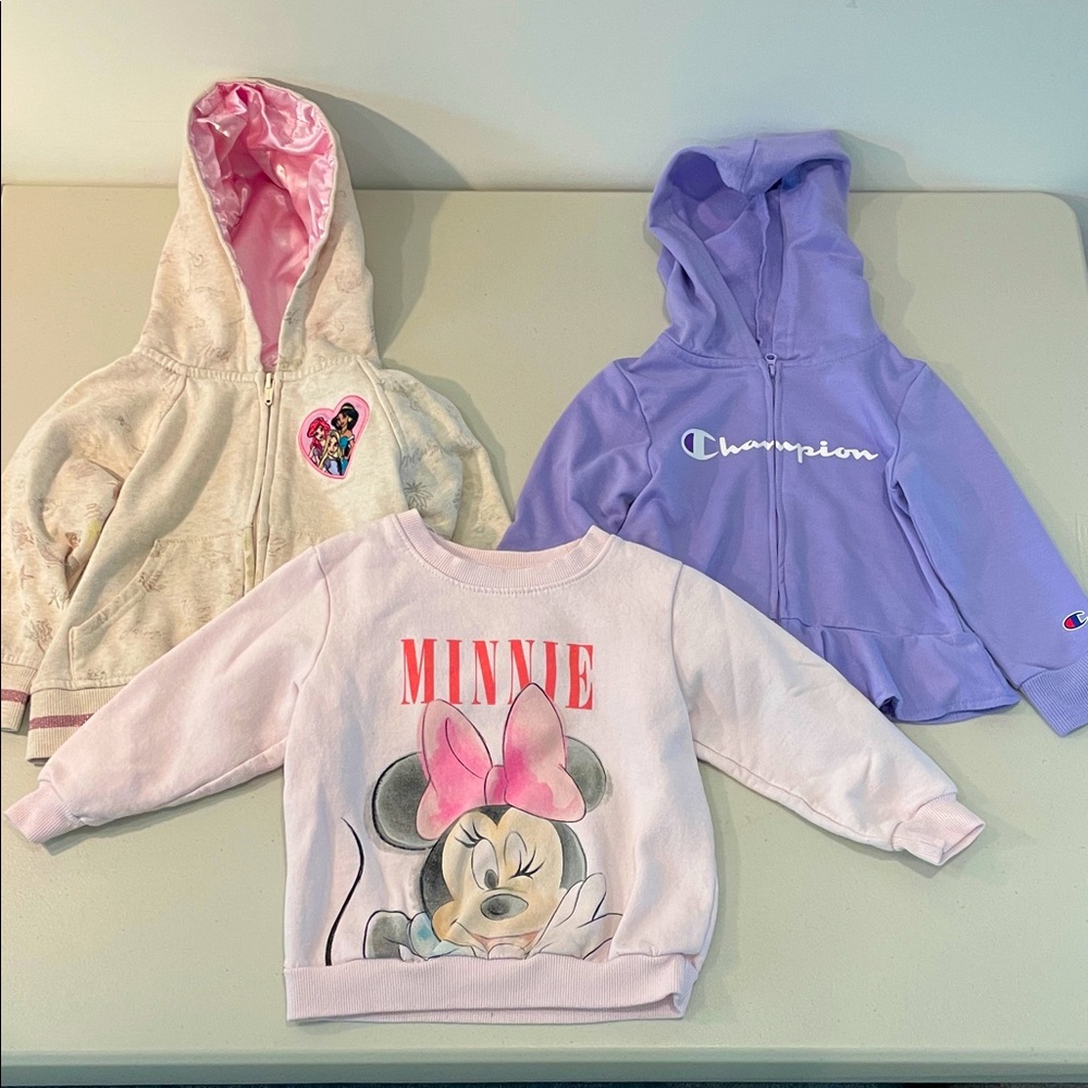 Bundle Lot of 3 Toddler Girls Hoodies and Sweatshirt, 3T